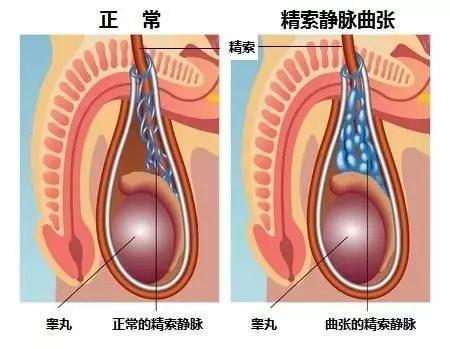 微信圖片_20210816164011.jpg